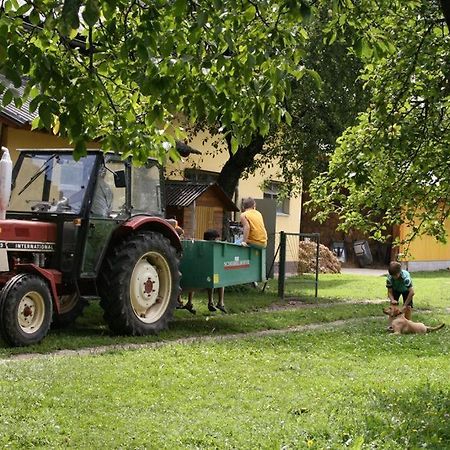 Bauernhof-Pension Puschnikhof Unternarrach Экстерьер фото